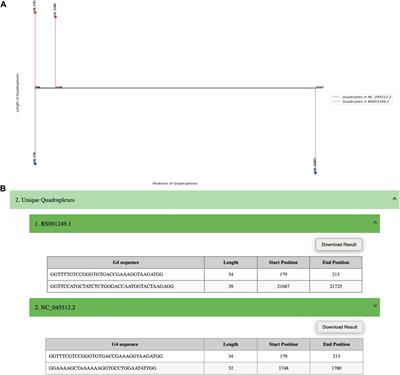 QUFIND: tool for comparative prediction and mining of G4 quadruplexes overlapping with CpG islands